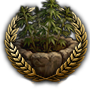GFX_goal_generic_hemp_plantation