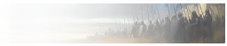 GFX_decision_amry_banners