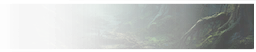 GFX_decision_dark_forest