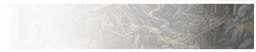 GFX_decision_iron_steel