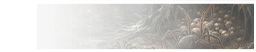GFX_decision_spider_eggs
