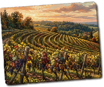 GFX_report_event_vineyards