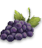 GFX_idea_DOR_wine_trade